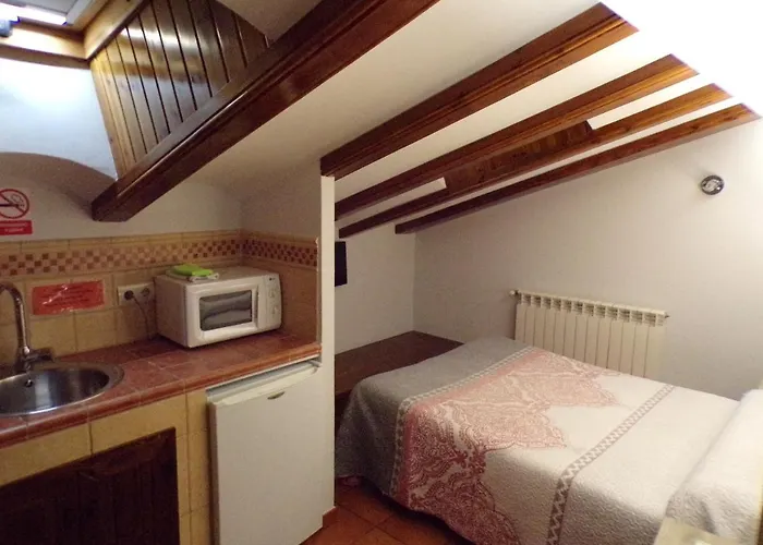 Pensionat Serruchi 3*